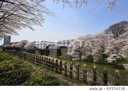 霞城公園の桜 63554118