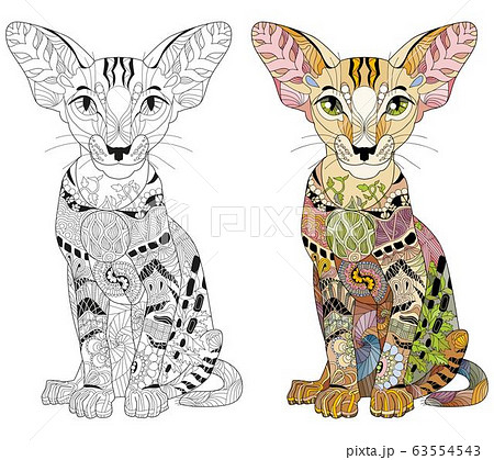 Zentangle stylized cat. Hand Drawn lace vector 63554543