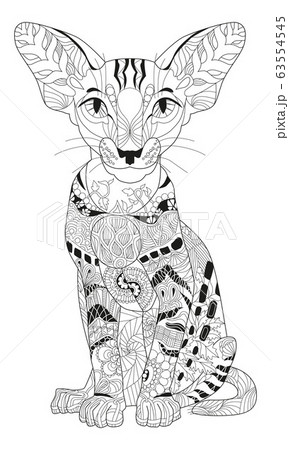 Zentangle stylized cat. Hand Drawn lace vector 63554545