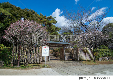 大宮公園 日本庭園 さいたま市 大宮公園 日本庭園 さいたま市 63555011