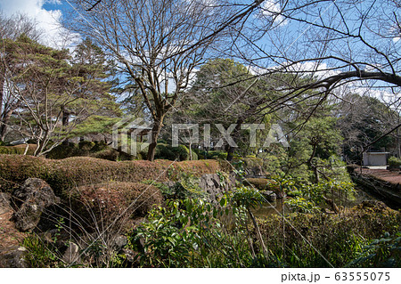 大宮公園 日本庭園 さいたま市 大宮公園 日本庭園 さいたま市 63555075