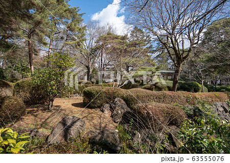 大宮公園　日本庭園　さいたま市　　 63555076