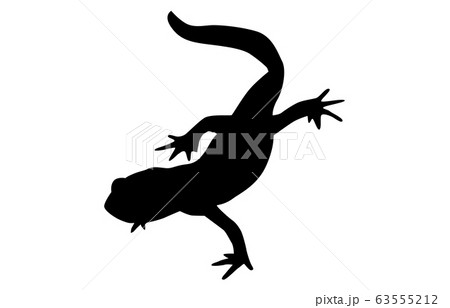 動物シルエット両生 ハ虫類イモリ2のイラスト素材