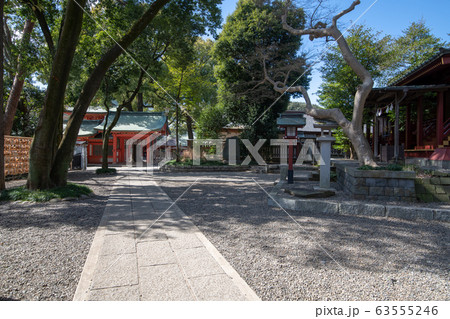 大宮　氷川神社　境内 63555246