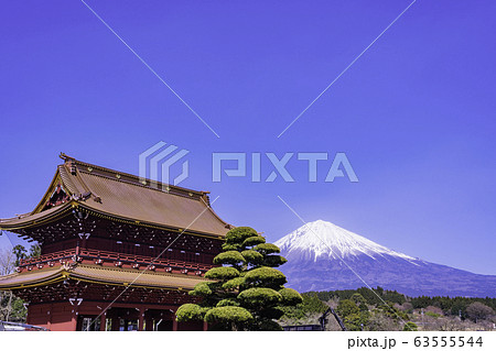 静岡県 改修工事中の大石寺三門と富士山の写真素材