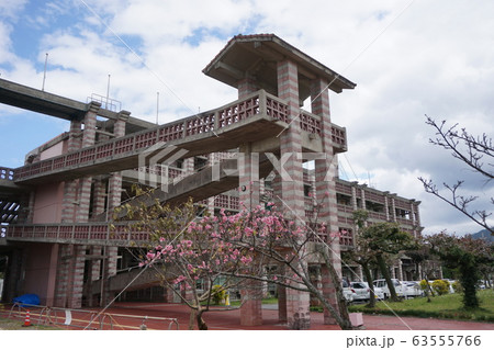 名護市役所 63555766