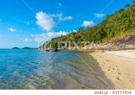 Sandy beach of a paradise deserted tropical 63555856