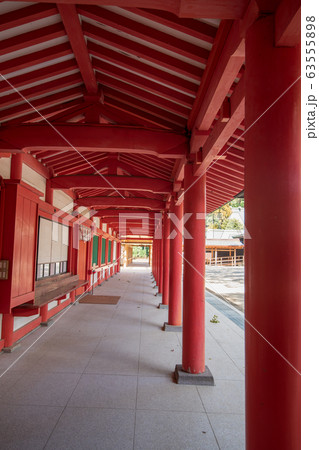 大宮 氷川神社 境内 大宮 氷川神社 境内 63555898