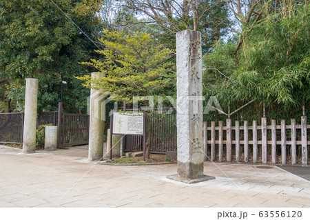 大宮 氷川神社 大宮 氷川神社 63556120