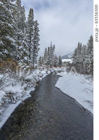Stream and pine trees with snow in Sun Valley, Idaho 63556300