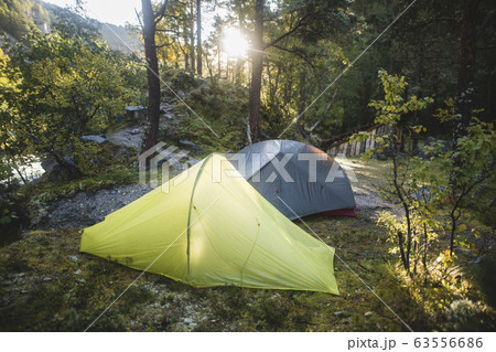 Tents in forest Tents in forest 63556686