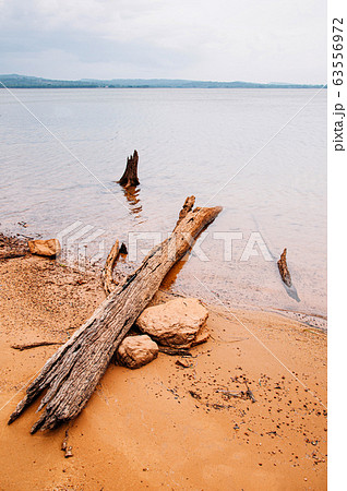 Old wood log stump on sandy shore of river or dam Old wood log stump on sandy shore of river or dam 63556972