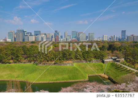 半蔵門の桜と風景 半蔵門の桜と風景 63557767