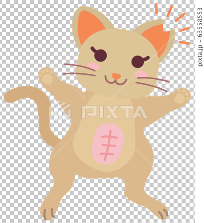 不妊手術と耳カットをした地域猫の女の子 63558553