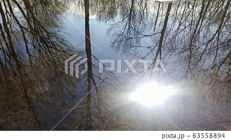 art photo of spring puddle in the park with reflection of the sun and trees art photo of spring puddle in the park with reflection of the sun and trees 63558894