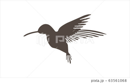 Hummingbirds vector icon flat style simple image. 63561068
