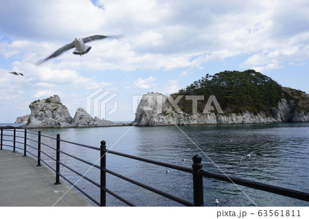 浄土ヶ浜はこれから観光シーズン 浄土ヶ浜はこれから観光シーズン 63561811