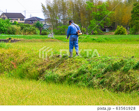 草刈りをする人 63561928