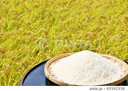 秋の田んぼと新米 秋の田んぼと新米 63562356