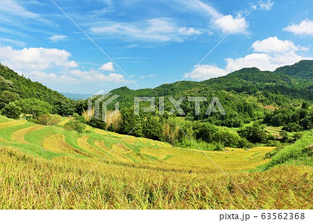 千葉県　秋の青空と大山千枚田 63562368
