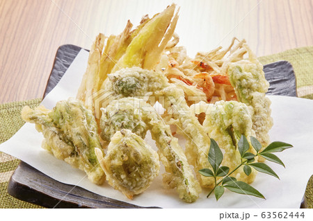 山菜の天ぷら 63562444