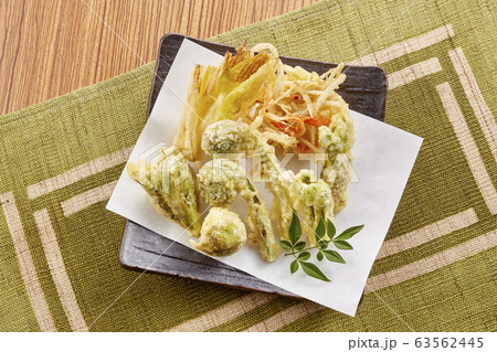 山菜の天ぷら 63562445