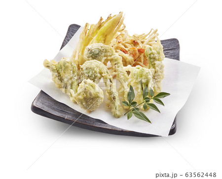 山菜の天ぷら 63562448