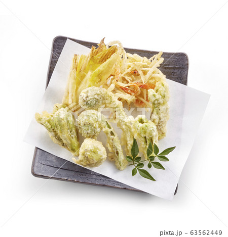 山菜の天ぷら 山菜の天ぷら 63562449