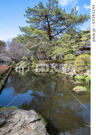 大宮公園 日本庭園 さいたま市 大宮公園 日本庭園 さいたま市 63563244