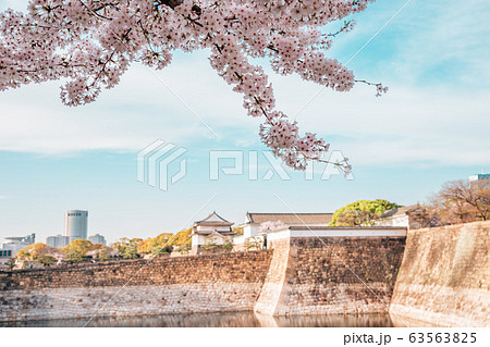 Cherry blossoms of spring at Osaka castle in Japan 63563825
