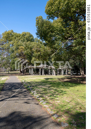 大宮公園　遊歩道　さいたま市　　 63563861