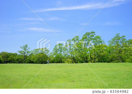 奈良公園・飛火野の緑の丘9 奈良公園・飛火野の緑の丘9 63564982