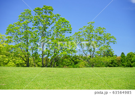 奈良公園・飛火野の緑の丘１２ 63564985