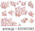 ［キリヌキパス付］桜 63565383