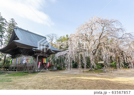 千葉市若葉区 栄福寺 千葉市若葉区 栄福寺 63567857