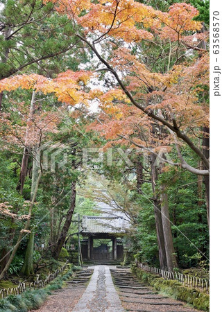 鎌倉・秋の寿福寺　参道 63568570