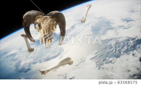 rams skull with bones at Earth orbit 63568575