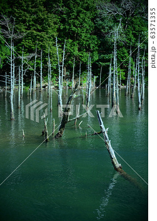 一ノ俣桜公園　方向 63571355