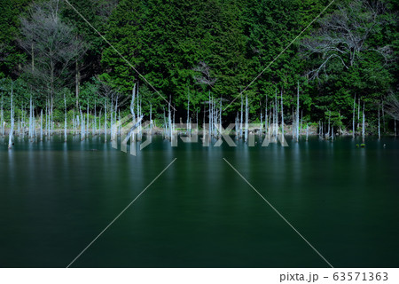 一ノ俣桜公園 止まる刻 一ノ俣桜公園 止まる刻 63571363