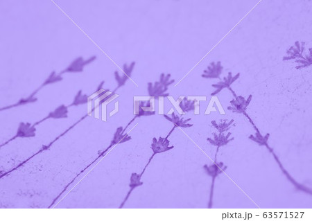 Pale violet purple background with lavender flowers pattern Pale violet purple background with lavender flowers pattern 63571527