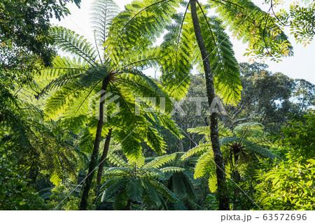 金作原 金作原 63572696