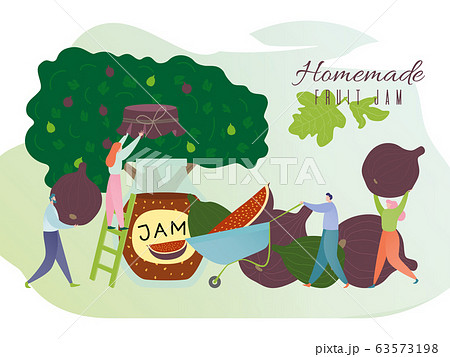 Homemade fig jam concept, tiny people making sweet fruit confiture in huge jar, vector illustration Homemade fig jam concept, tiny people making sweet fruit confiture in huge jar, vector illustration 63573198