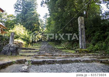 平泉寺白山神社 平泉寺白山神社 63573604