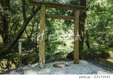 平泉寺白山神社 63573945