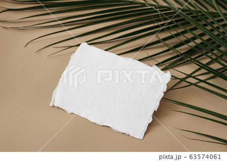 Summer wedding stationery mock-up, desk scene. Blank greeting, business card and green palm leaves on beige table background. Tropical exotic styled photo, web banner. Flat lay, high angle view. Summer wedding stationery mock-up, desk scene. Blank greeting, business card and green palm leaves on beige table background. Tropical exotic styled photo, web banner. Flat lay, high angle view. 63574061