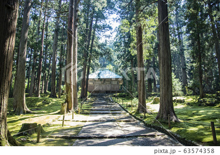 平泉寺白山神社 平泉寺白山神社 63574358