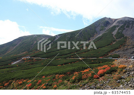 秋の乗鞍高原 63574455