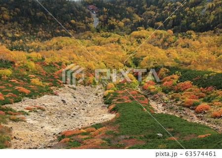秋の乗鞍高原 秋の乗鞍高原 63574461