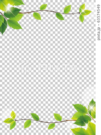 葉っぱ背景フレーム 63574549