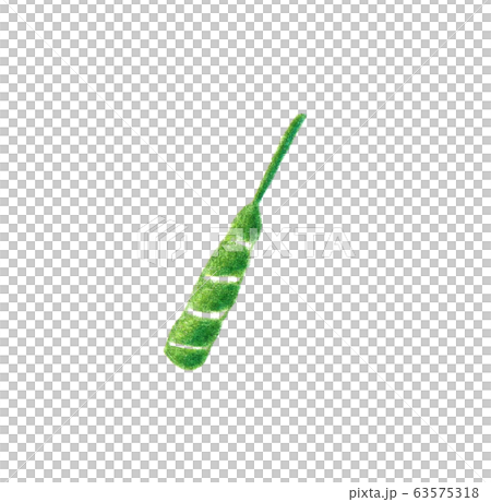 Dad's Festival Zongzi Parts Colored pencil drawing 63575318